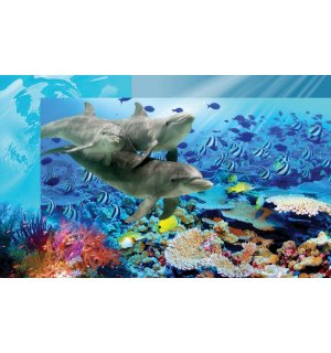 Vlies fotótapéta: Víz alatti világ - 104x152,5 cm