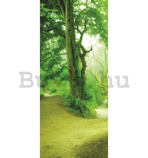 Öntapadós fotótapéta: Varázslatos erdő - 221x91 cm