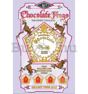Plakát - Harry Potter (Chocolate Frogs)