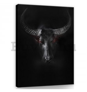 Vászonkép: Fekete bika - 100x75 cm