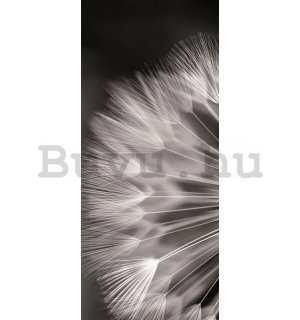 Fotótapéta: Fekete-fehér gyermekláncfű - 211x91 cm
