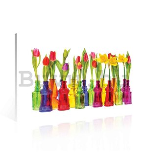 Vászonkép: Tulipánok - 75x100 cm