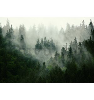 Vlies fotótapéta: Köd az erdő felett (1) - 416x254 cm