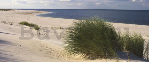 Fotótapéta: Homokos tengerpart (1) - 104x250 cm