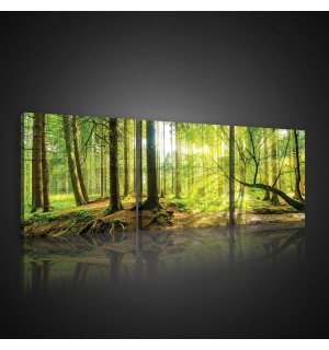 Vászonkép: Ártéri erdő - készlet 3db 25x25cm