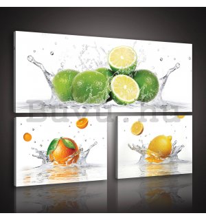 Vászonkép: Limes - készlet 1 db 80x30 cm és 2 db 37,5x24,8 cm