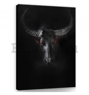 Vászonkép: Fekete bika - 60x80 cm