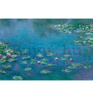 Plakát - Claude Monet, Tavirózsák