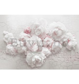 Vlies fotótapéta: Fehér rózsák a falon - 416x254 cm
