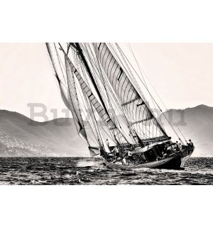 Poster: Vitorlázás (fekete-fehér vitorlás hajó)