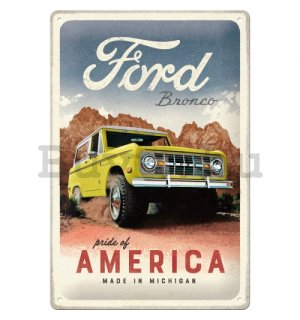 Fémtáblák: Ford Bronco (Pride of America) - 20x30 cm