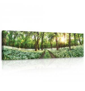 Vászonkép: Virágzó erdei ösvény - 145x45 cm
